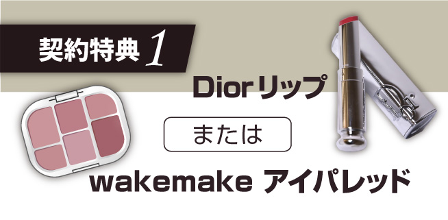 ご成約特典　DiorリップorWAKEMAKE アイパレッド